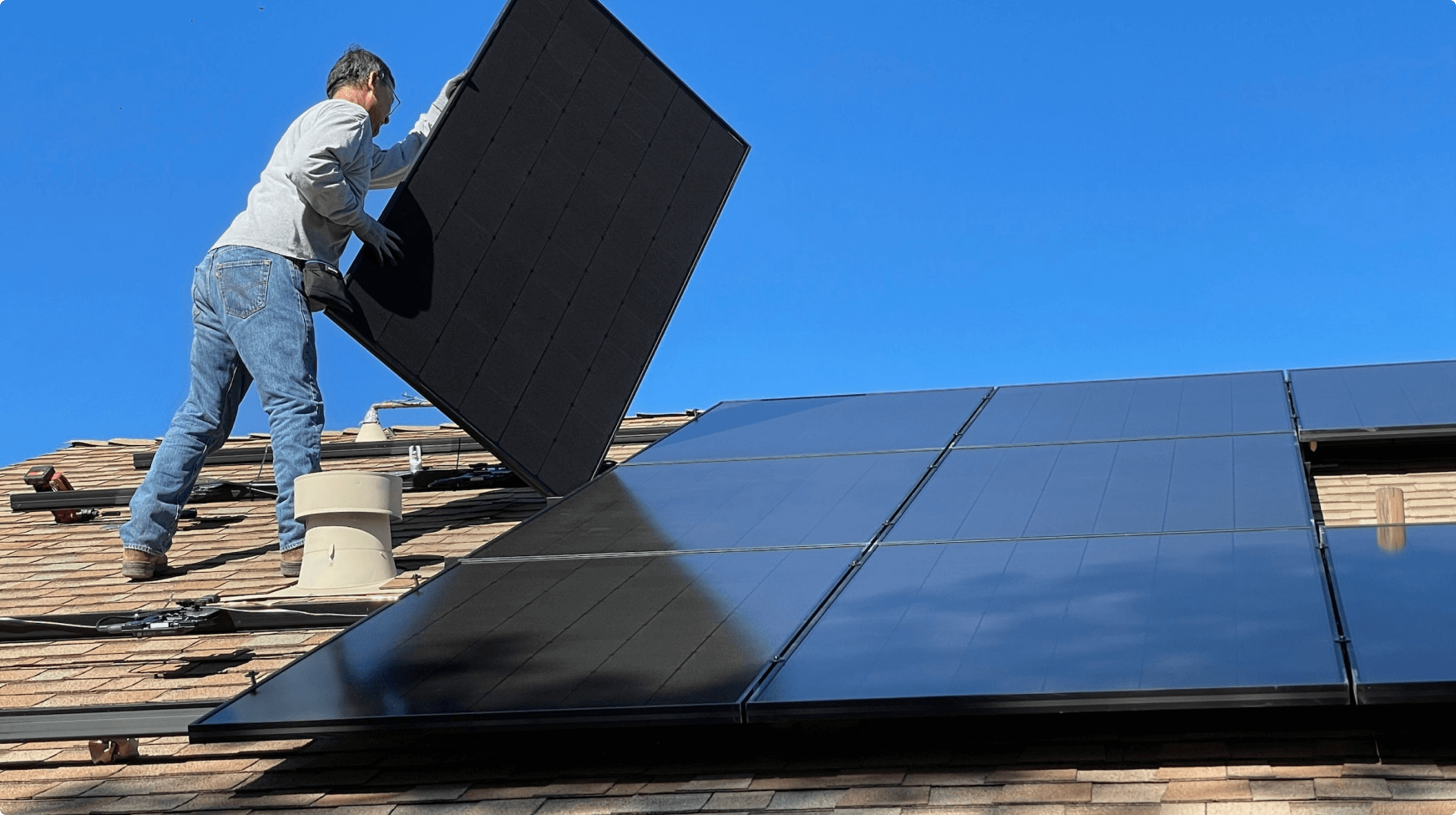 protect solar panels from monkeys & birds